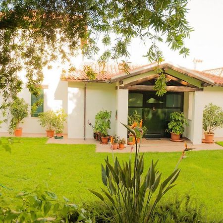 Villa Aurora オルビア エクステリア 写真